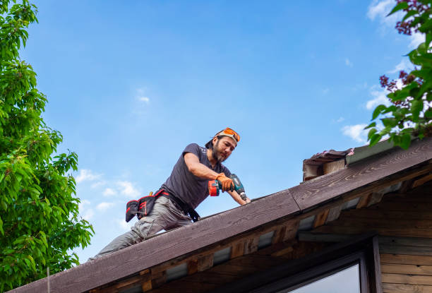 Professional Roofing and installation in Gumlog, GA